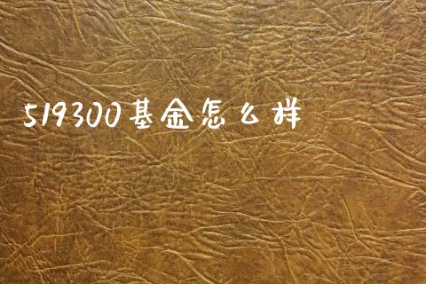 519300基金怎么样_https://m.jnkyh.com_期货开户条件_第1张