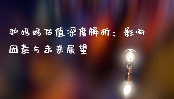 驴妈妈估值深度解析：影响因素与未来展望_https://m.jnkyh.com_国际原油_第1张