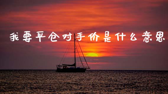 我要平仓对手价是什么意思_https://m.jnkyh.com_国际原油_第1张