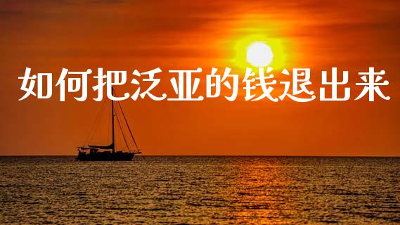 如何把泛亚的钱退出来_https://m.jnkyh.com_股指期货_第1张