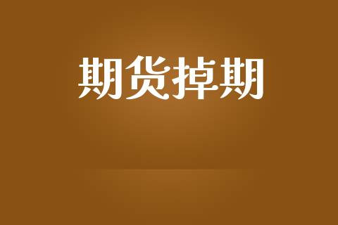 期货掉期_https://m.jnkyh.com_股指期货_第1张