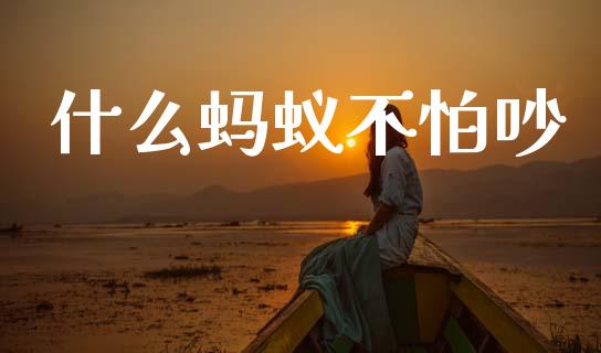 什么蚂蚁不怕吵_https://m.jnkyh.com_期货开户条件_第1张