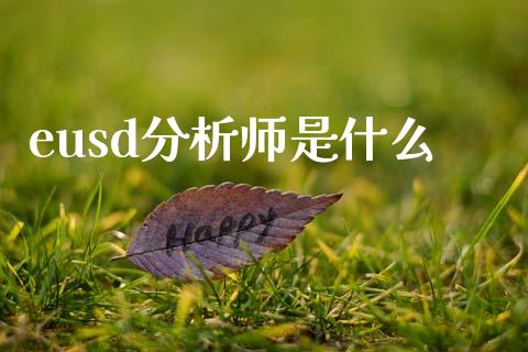 eusd分析师是什么_https://m.jnkyh.com_股指期货_第1张