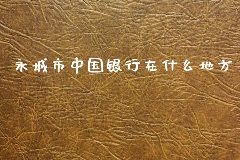 永城市中国银行在什么地方_https://m.jnkyh.com_股票交易_第1张
