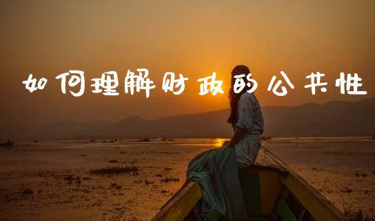 如何理解财政的公共性_https://m.jnkyh.com_国际原油_第1张