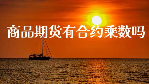 商品期货有合约乘数吗_https://m.jnkyh.com_国际原油_第1张