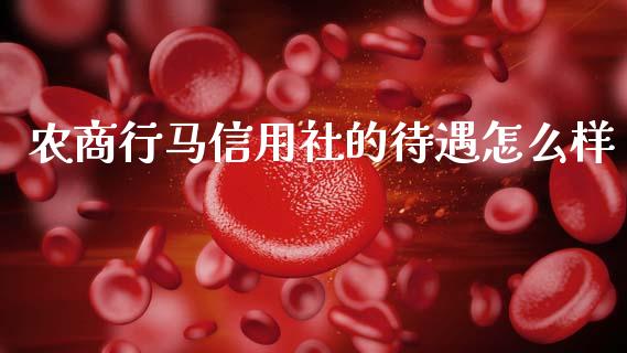 农商行马信用社的待遇怎么样_https://m.jnkyh.com_国际原油_第1张