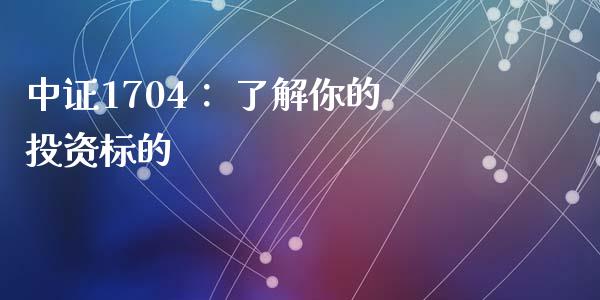 中证1704： 了解你的投资标的_https://m.jnkyh.com_国际原油_第1张