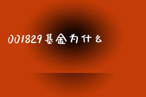 001829基金为什么_https://m.jnkyh.com_期货开户条件_第1张