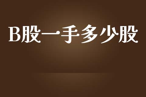 B股一手多少股_https://m.jnkyh.com_股指期货_第1张