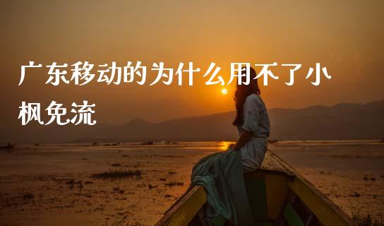广东移动的为什么用不了小枫免流_https://m.jnkyh.com_期货开户条件_第1张