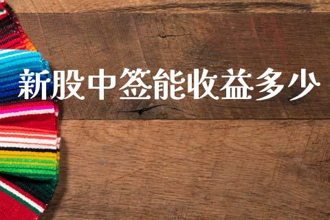 新股中签能收益多少_https://m.jnkyh.com_股票交易_第1张