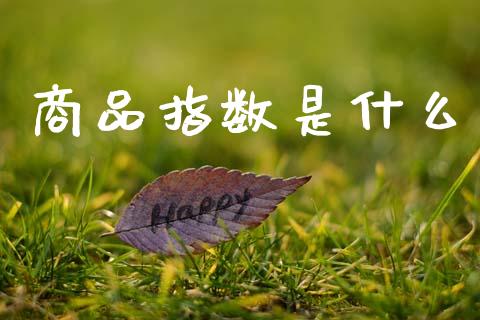 商品指数是什么_国际原油_第1张_股指期货_期货开户条件_国际原油_股票交易 商品指数是什么_https://m.jnkyh.com_国际原油_第1张