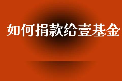 如何捐款给壹基金_https://m.jnkyh.com_期货开户条件_第1张