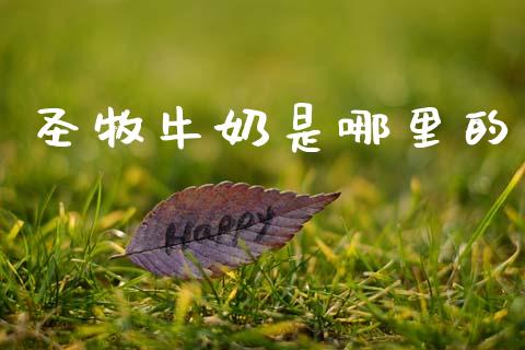 圣牧牛奶是哪里的_https://m.jnkyh.com_国际原油_第1张