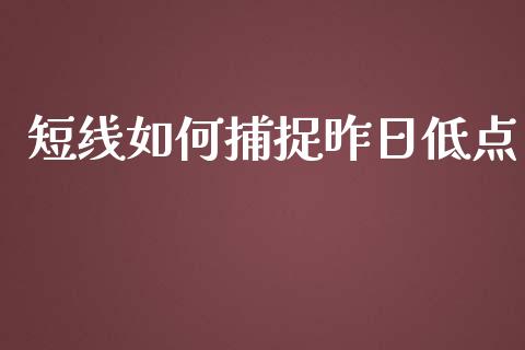 短线如何捕捉昨日低点_https://m.jnkyh.com_国际原油_第1张