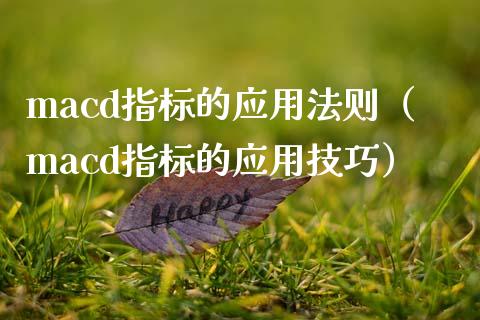 macd指标的应用法则（macd指标的应用技巧）_https://m.jnkyh.com_股票交易_第1张