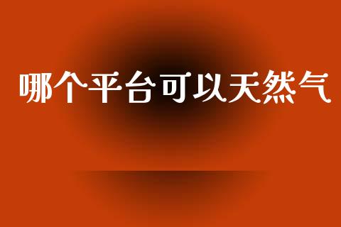 哪个平台可以天然气_https://m.jnkyh.com_期货开户条件_第1张