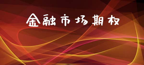 金融市场期权_https://m.jnkyh.com_股票交易_第1张
