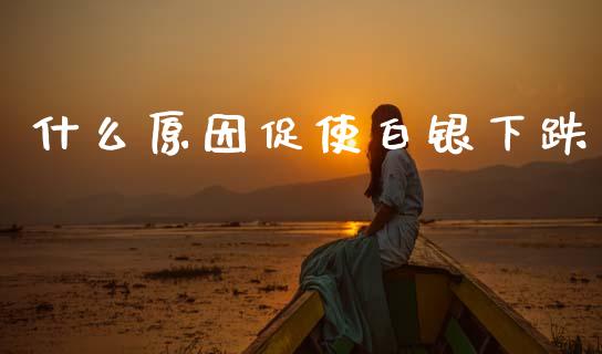 什么原因促使白银下跌_https://m.jnkyh.com_国际原油_第1张