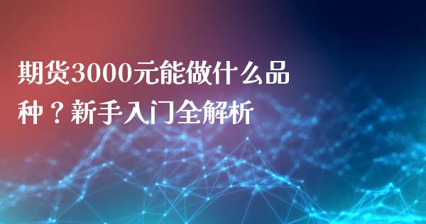 期货3000元能做什么品种？新手入门全解析_https://m.jnkyh.com_股指期货_第1张