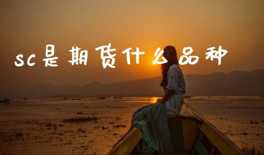 sc是期货什么品种_股指期货_第1张_股指期货_期货开户条件_国际原油_股票交易 sc是期货什么品种_https://m.jnkyh.com_股指期货_第1张