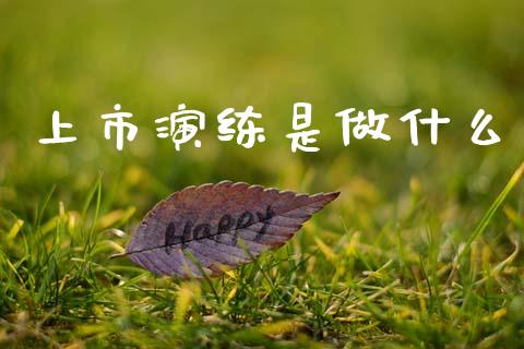 上市演练是做什么_https://m.jnkyh.com_股指期货_第1张