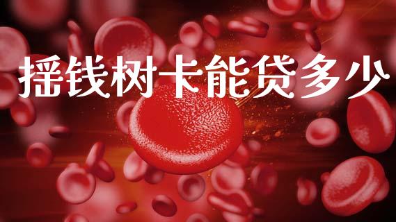 摇钱树卡能贷多少_https://m.jnkyh.com_股票交易_第1张