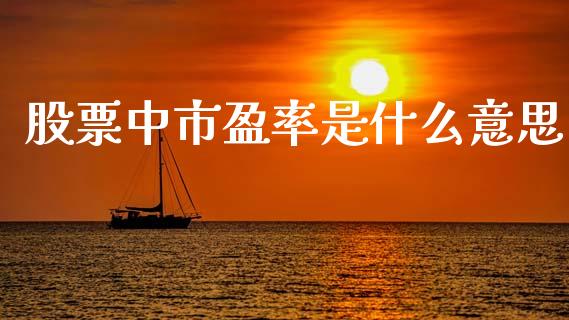 股票中市盈率是什么意思_https://m.jnkyh.com_期货开户条件_第1张