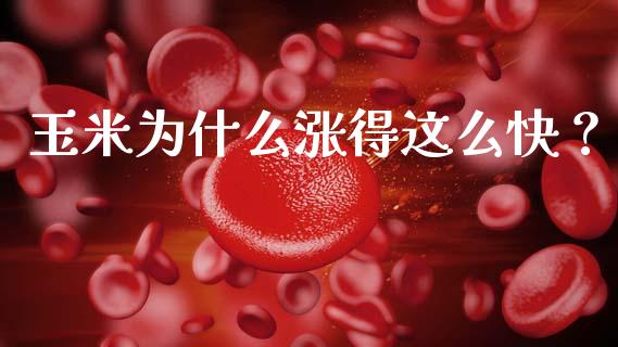 玉米为什么涨得这么快？_https://m.jnkyh.com_股票交易_第1张