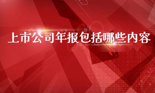 上市公司年报包括哪些内容_https://m.jnkyh.com_国际原油_第1张