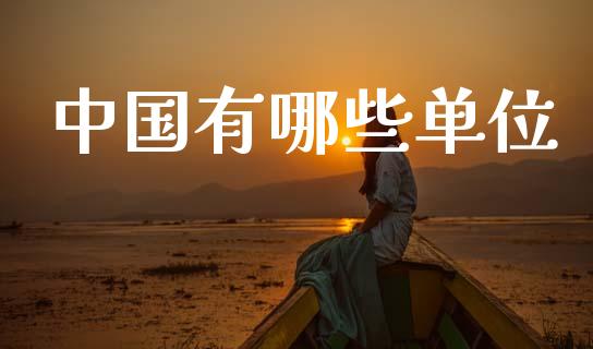 中国有哪些单位_https://m.jnkyh.com_国际原油_第1张