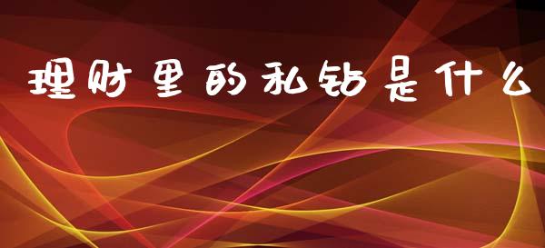 理财里的私钻是什么_https://m.jnkyh.com_期货开户条件_第1张