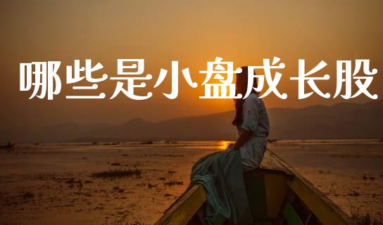 哪些是小盘成长股_https://m.jnkyh.com_股票交易_第1张