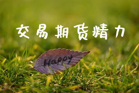 交易期货精力_https://m.jnkyh.com_股指期货_第1张