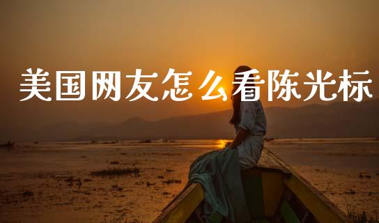 美国网友怎么看陈光标_https://m.jnkyh.com_股票交易_第1张