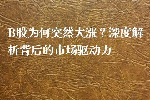 B股为何突然大涨？深度解析背后的市场驱动力_https://m.jnkyh.com_期货开户条件_第1张