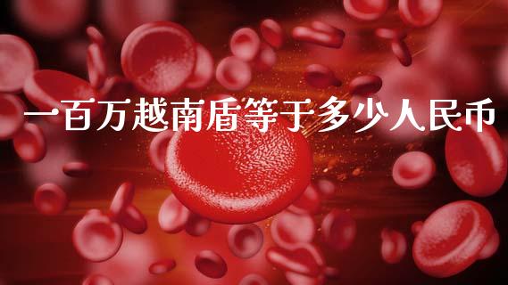 一百万越南盾等于多少人民币_https://m.jnkyh.com_国际原油_第1张