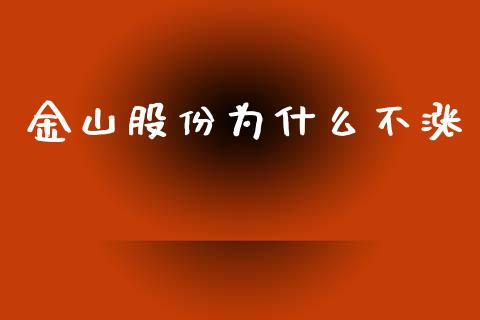 金山股份为什么不涨_https://m.jnkyh.com_期货开户条件_第1张