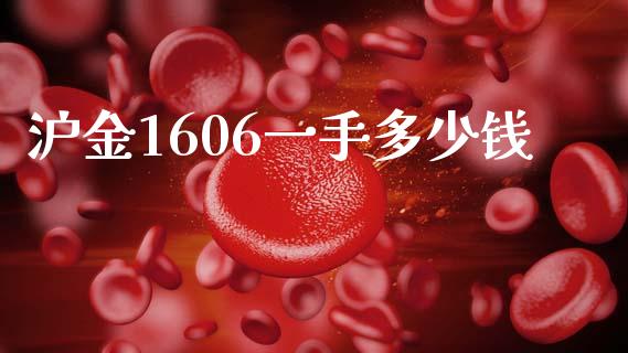 沪金1606一手多少钱_https://m.jnkyh.com_期货开户条件_第1张