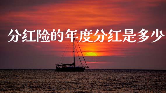 分红险的年度分红是多少_https://m.jnkyh.com_股指期货_第1张