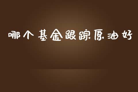 哪个基金跟踪原油好_https://m.jnkyh.com_国际原油_第1张