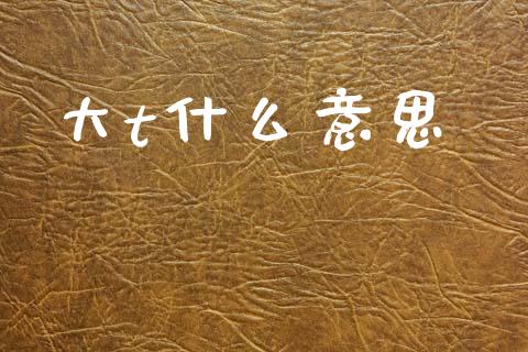 大t什么意思_https://m.jnkyh.com_股票交易_第1张