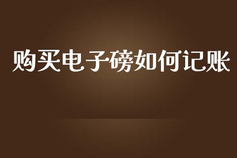 购买电子磅如何记账_https://m.jnkyh.com_股指期货_第1张