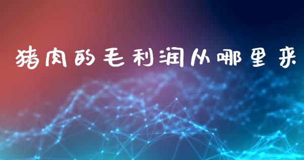 猪肉的毛利润从哪里来_https://m.jnkyh.com_股指期货_第1张