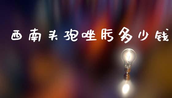 西南头孢唑肟多少钱_https://m.jnkyh.com_股指期货_第1张