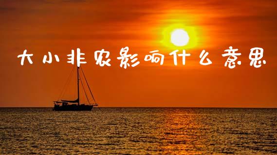 大小非农影响什么意思_https://m.jnkyh.com_股指期货_第1张