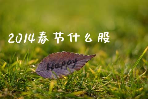 2014春节什么股_https://m.jnkyh.com_期货开户条件_第1张