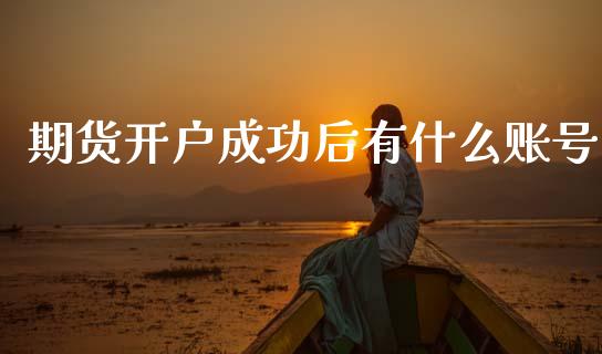 期货开户成功后有什么账号_https://m.jnkyh.com_期货开户条件_第1张
