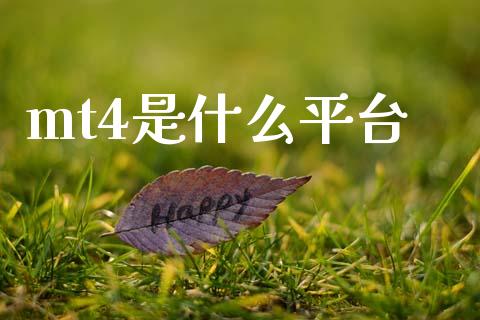 mt4是什么平台_https://m.jnkyh.com_国际原油_第1张
